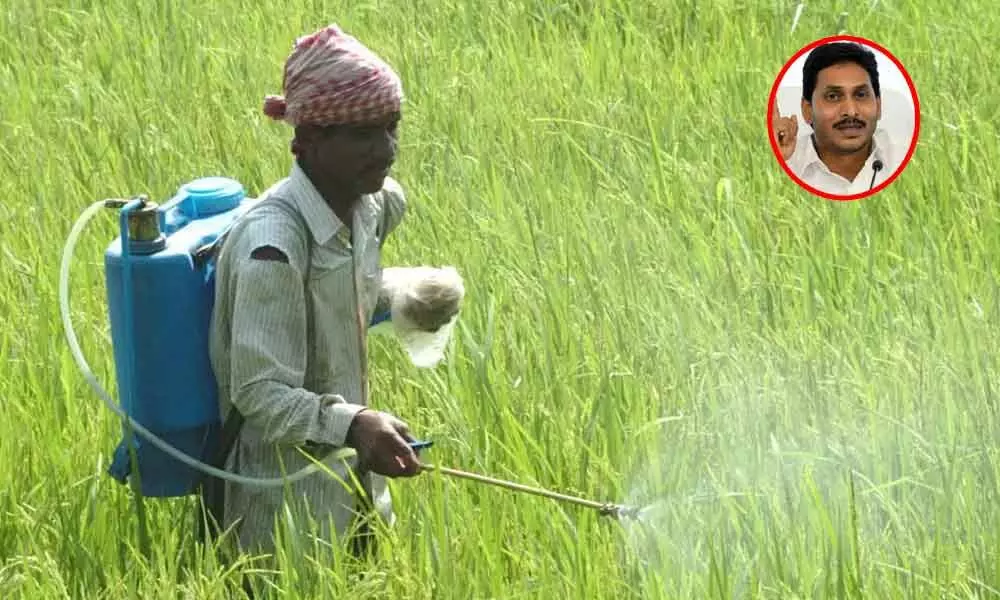 AP Chief Minister YS Jagan will on Tuesday inaugurate the YSR free crop insurance scheme