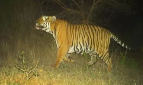 For representational purpose