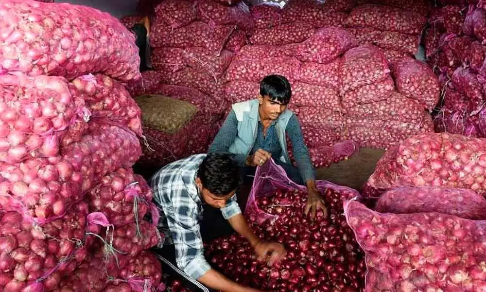 Central government extends relaxed norms for onion imports till January 31