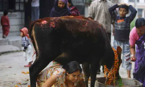 2020, the year of conspiracy theories