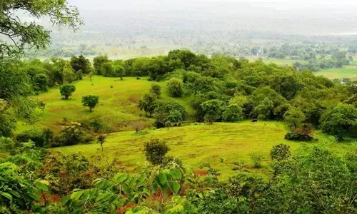 Untapped potential keeps T States poorer