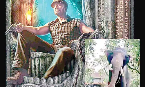 Live elephant in Sudeeps Phantom song shoot