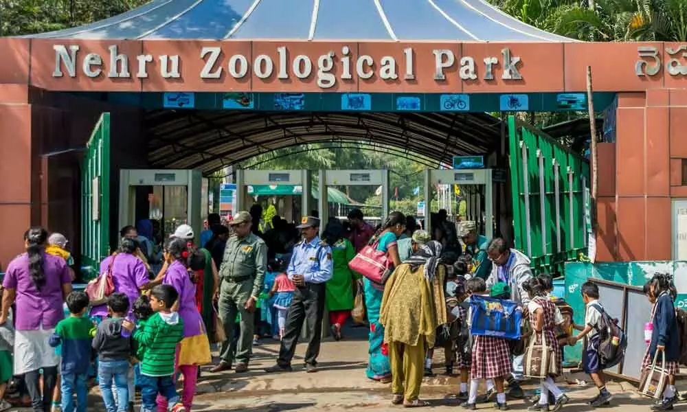 Nehru Zoological Park of Hyderabad inmates grow healthier, stronger