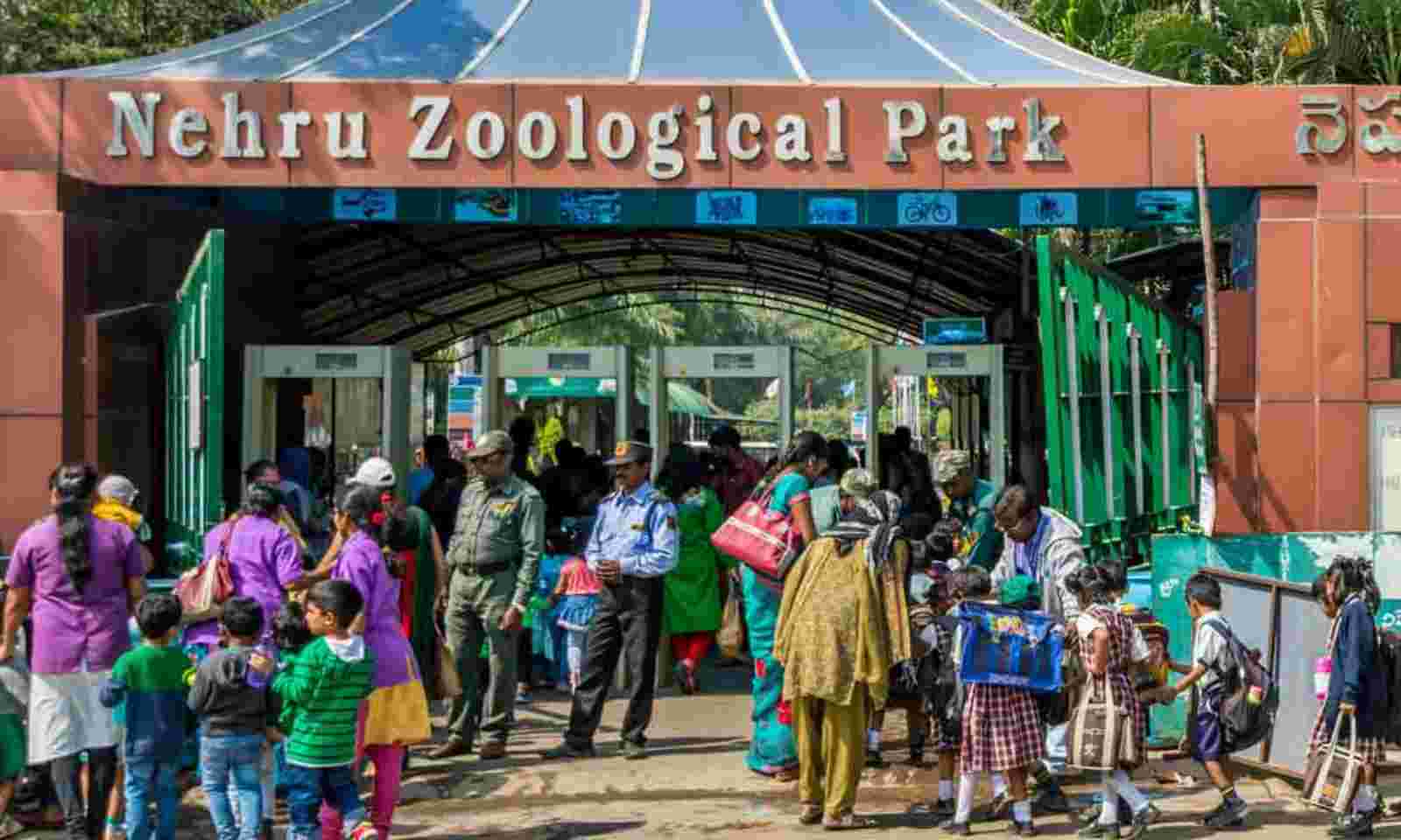 Thanks To Organic Feed: Nehru Zoological Park of Hyderabad inmates grow  healthier, stronger