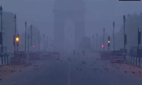 Cold wave sweeps Delhi, minimum temperature dips to 3.4 degrees Celsius