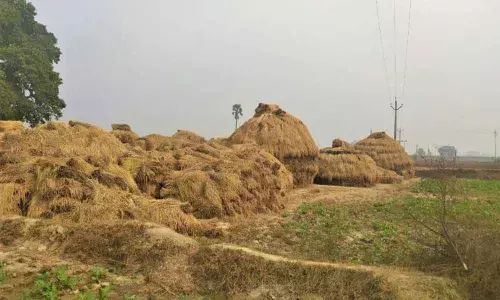 Bihar scrapped APMC Act, mandi system 14 years ago; here’s what it did to farmers