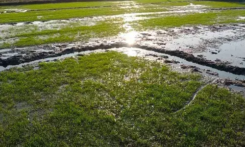 Highway-hit farmers seek adequate payout