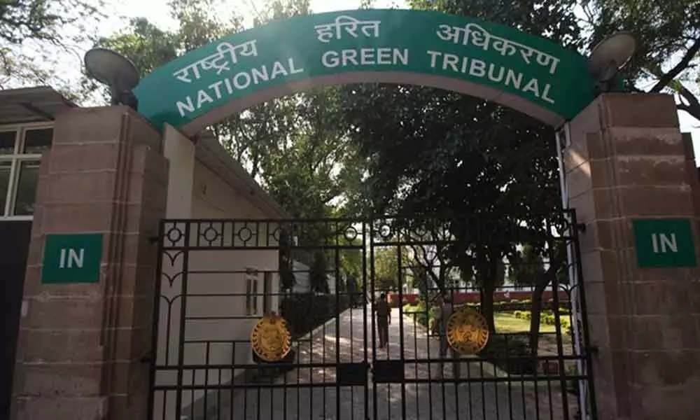 NGT hears petition against RLIS works, directs govt. to file affidavit