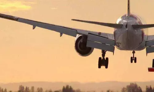 Alert India halts UK flights