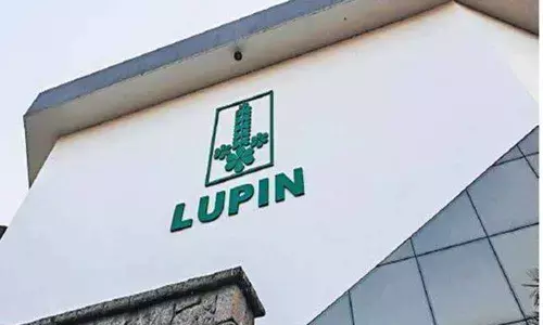 Lupin