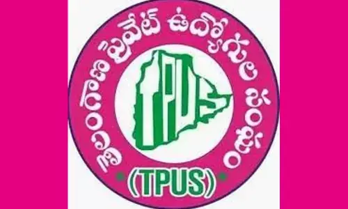 Teachers, employees demand PRC, promotions