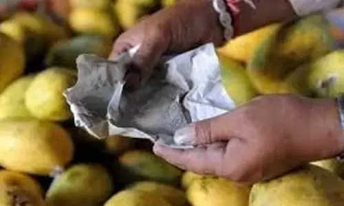 FGG: Rampant food adulteration in Hyderabad