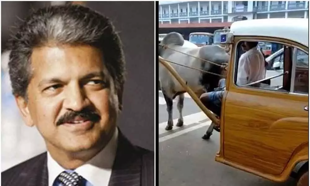 Anand Mahindra challenges Elon Musk with this Jugaad Car