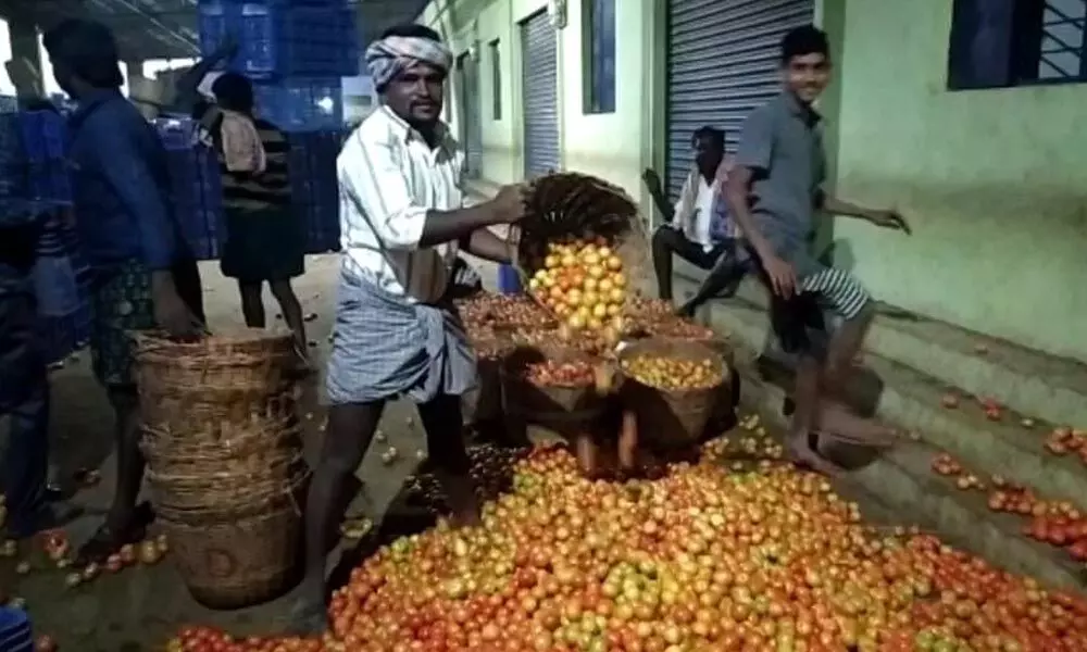Angry farmers throwing tomatoes on road after price fall at Pathikonda market yard in Kurnool district on Thursday