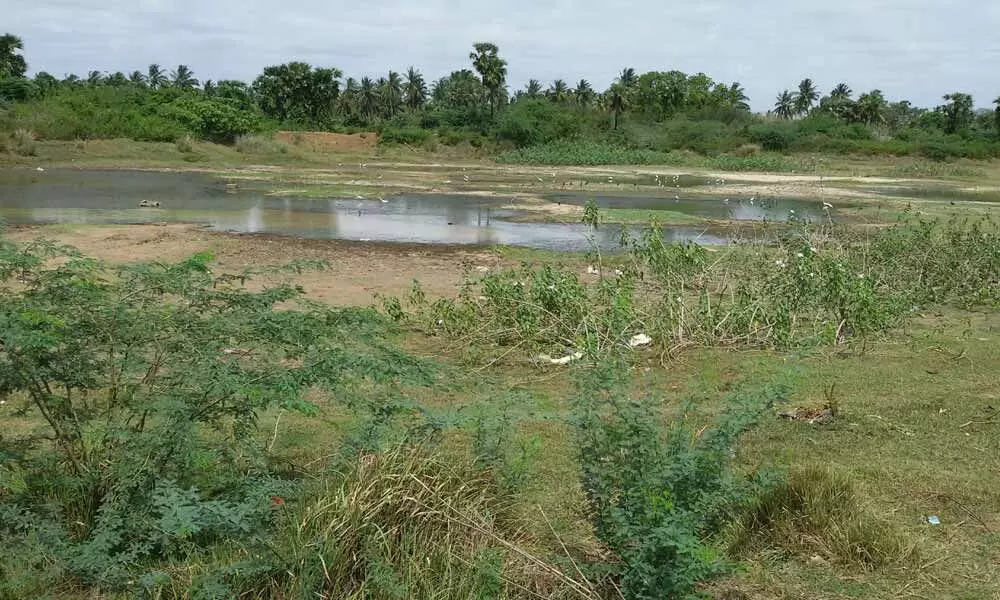 Water level completely comes down in an irrigation tank at Murapaka village in Laveru mandal