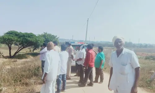 Tiger on prowl, triggers panic