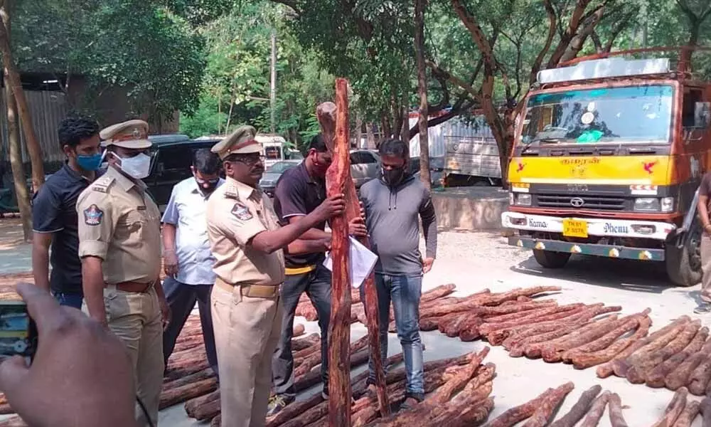 Task Force team  with seized red sanders logs a