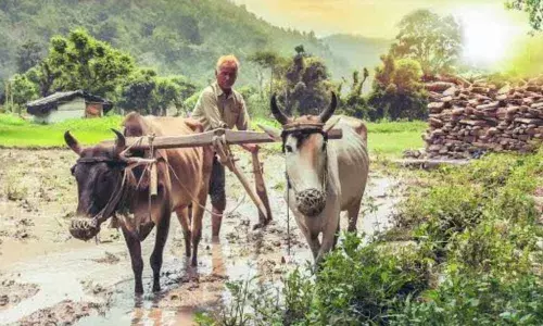 Jaggesh, Darshan Bat For Farmers