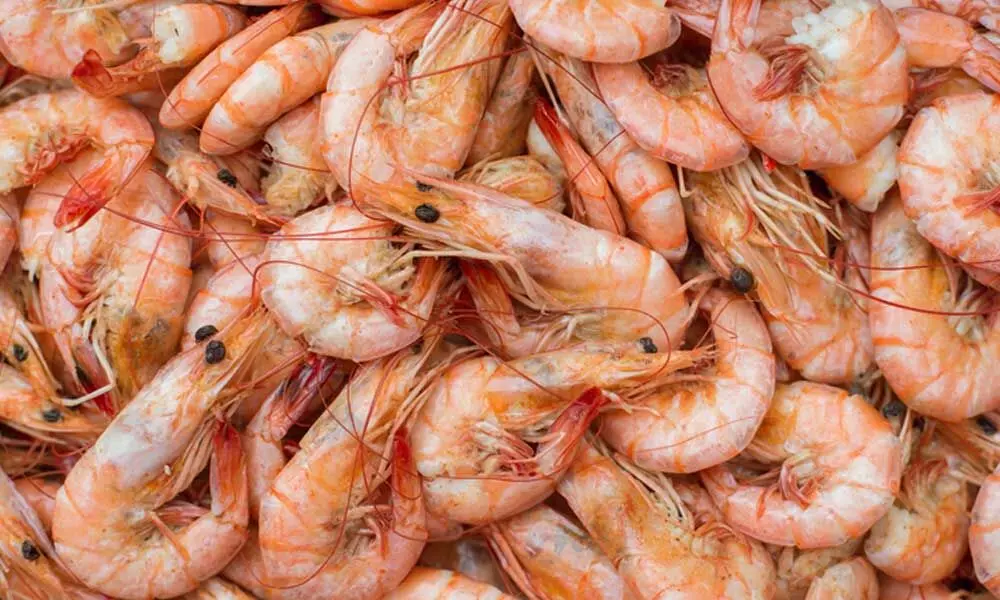 Adverse weather taking huge toll on shrimp farming