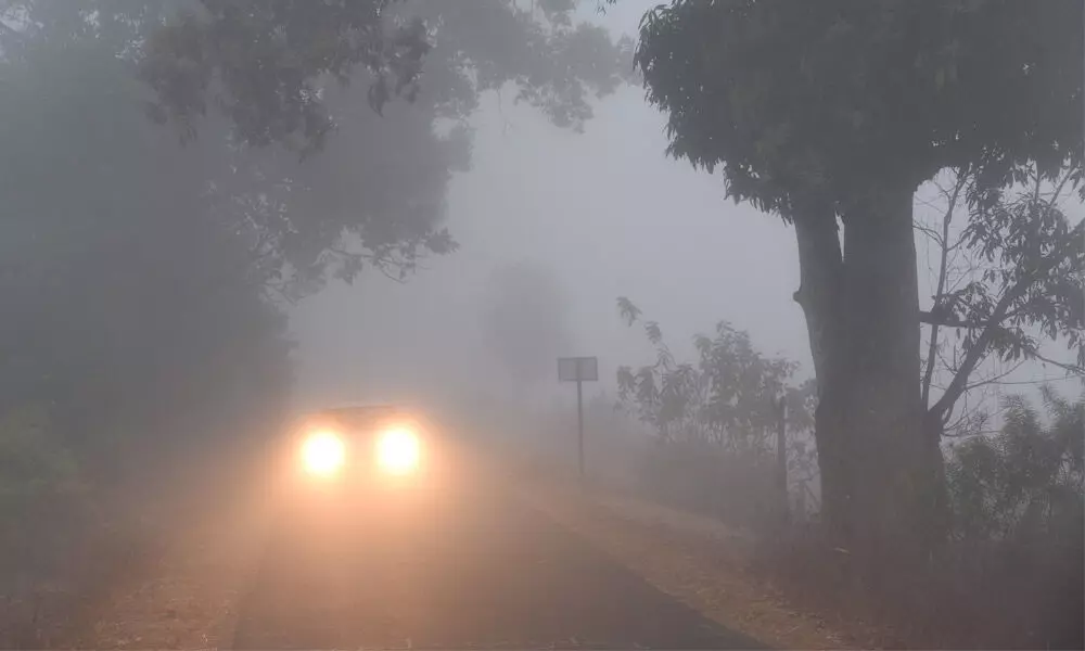 A fog-filled road in Visakhapatnam (file photo)
