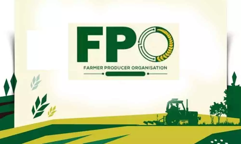 FPO farmers welcome agri laws giving freedom to sell anywhere