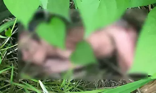 Just born female baby detected thrown in thorny bushes in Kurnool