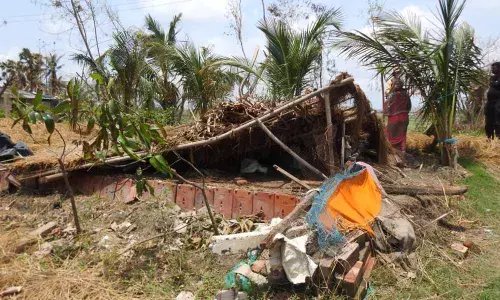 India bore maximum brunt