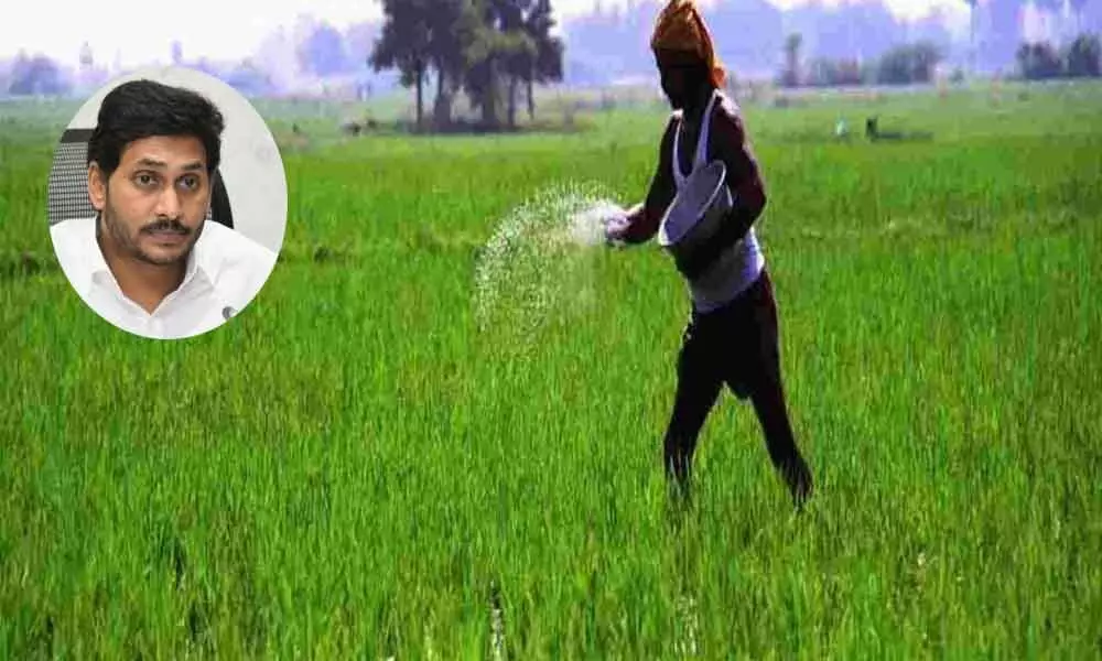 AP govt. to credit third installment of Rythu Bharosa amount, input subsidy to farmers