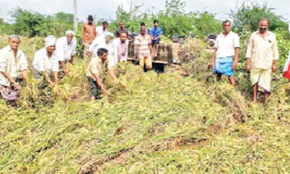 Cyclone-hit farmers to receive Rs 46.25 crores in East Godavari district