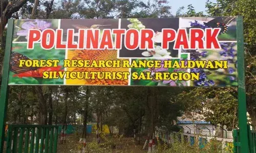 Indias first pollinator park inaugurated in Haldwani