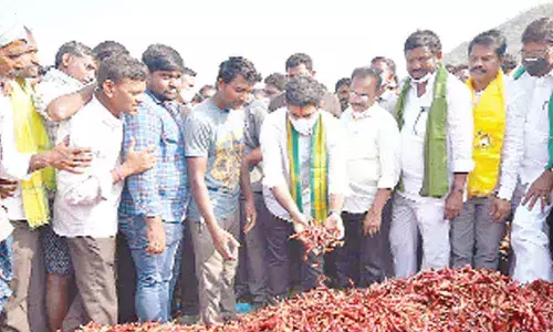 Lokesh demands compensation to cyclone-hit farmers