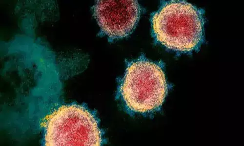 New strain of Coronavirus in Andhra Pradesh
