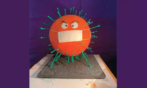 Covid cake wearing mask centre of attraction at annual show