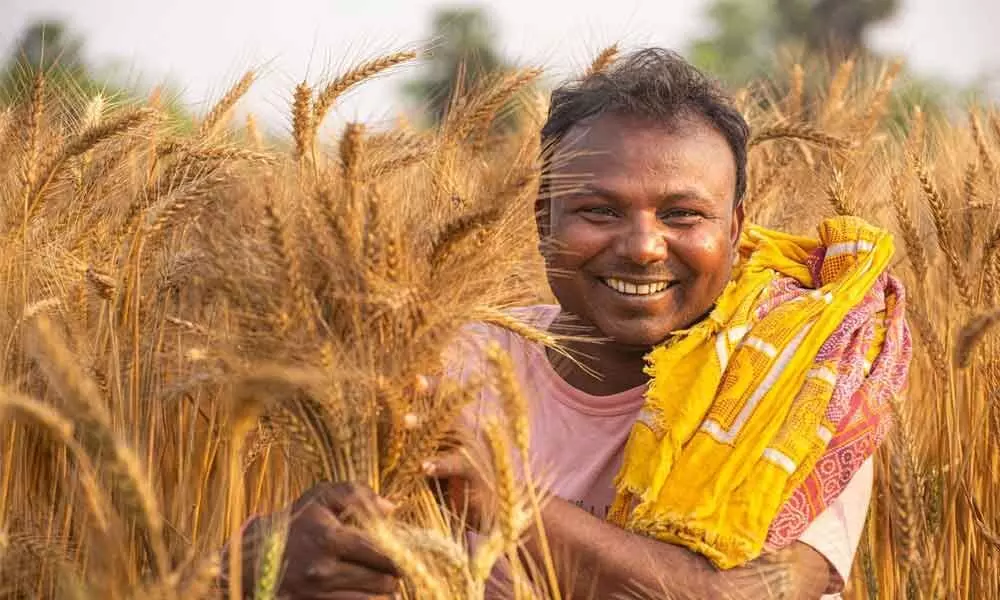 Making small Indian farmers prosperous