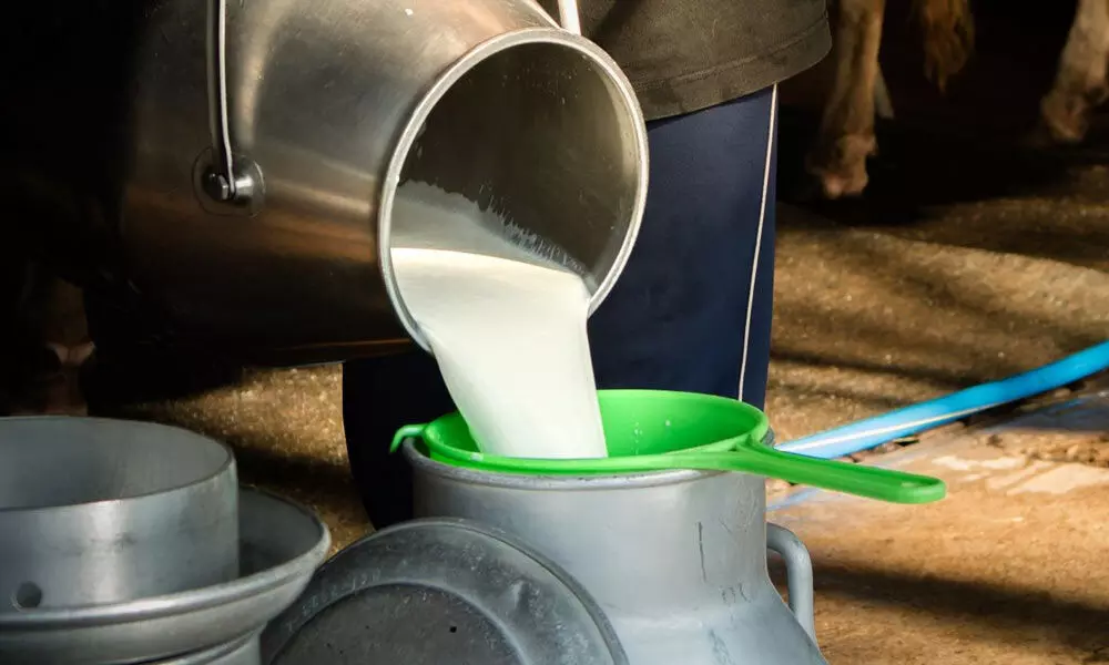 FAPCCI to organise 5-day online programme on dairy industry