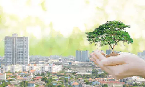 India’s environment shows improvement