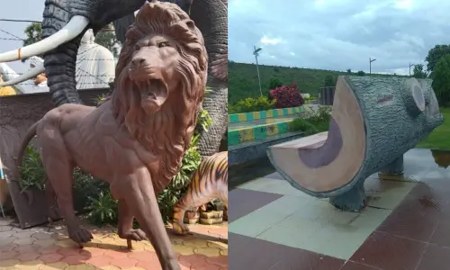 This year, you will meet Mowgli, Baloo, Bhageera