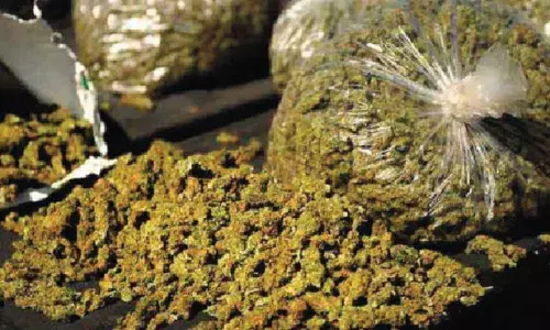 Jailed peddler’s wife running ganja network in Bengaluru held