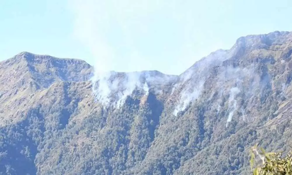 IAF Resumes Operation To Douse Fire In Dzukou Valley At Manipur-Nagaland Border