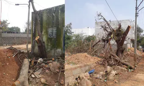 The Section 28 of the Telangana Water, Land and Trees Act, 2002 says if any owner desires to cut a tree he shall apply in writing to the designated officer for permission. Cutting of trees without prior permission shall be punishable with a fine which shall not be less than two times the value of such a tree and may extend up to 5 times the value of the tree.
