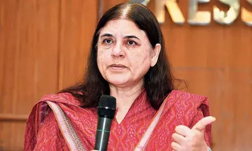 Maneka Gandhi ‘threatens’ Bengaluru businessman for hitting stray dog