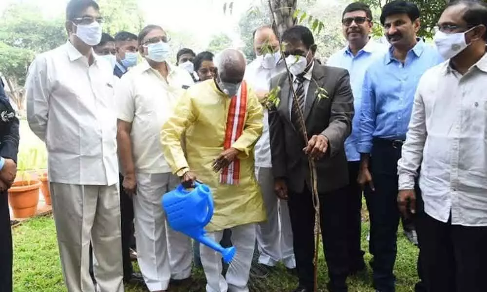Himachal Pradesh Governor Bandaru Dattatreya planting a neem sapling at Waltair club in Visakhapatnam