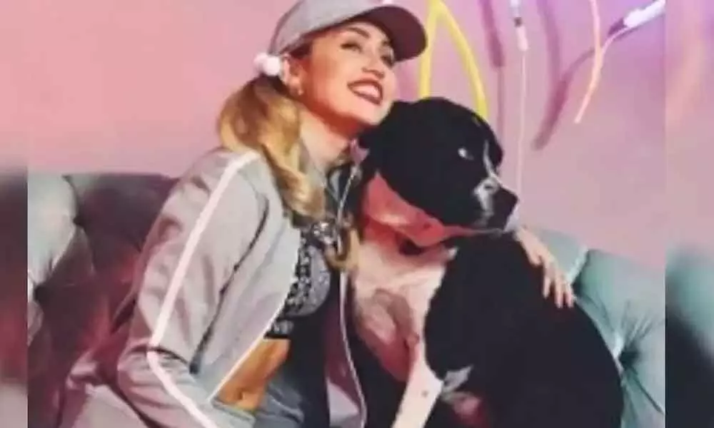 Miley Cyrus mourns pet dog’s death with video tribute
