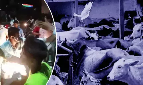 For representational purpose