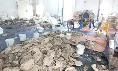 Slaughterhouse wastes pose alarming threat