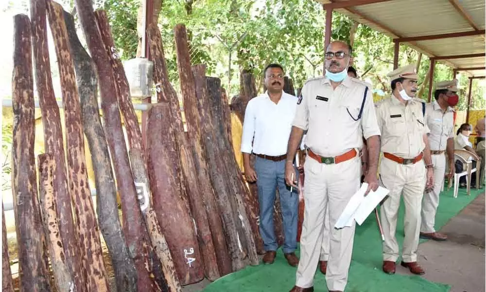 Police producing the 55 red sanders logs recovered from smugglers in Kadapa on Saturday