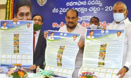Minister for Energy Balineni Srinivasa Reddy flanked by Principal Chief Conservator of Forest Dr Nalini Mohan and Vijayawada Central MLA Malladi Vishnu