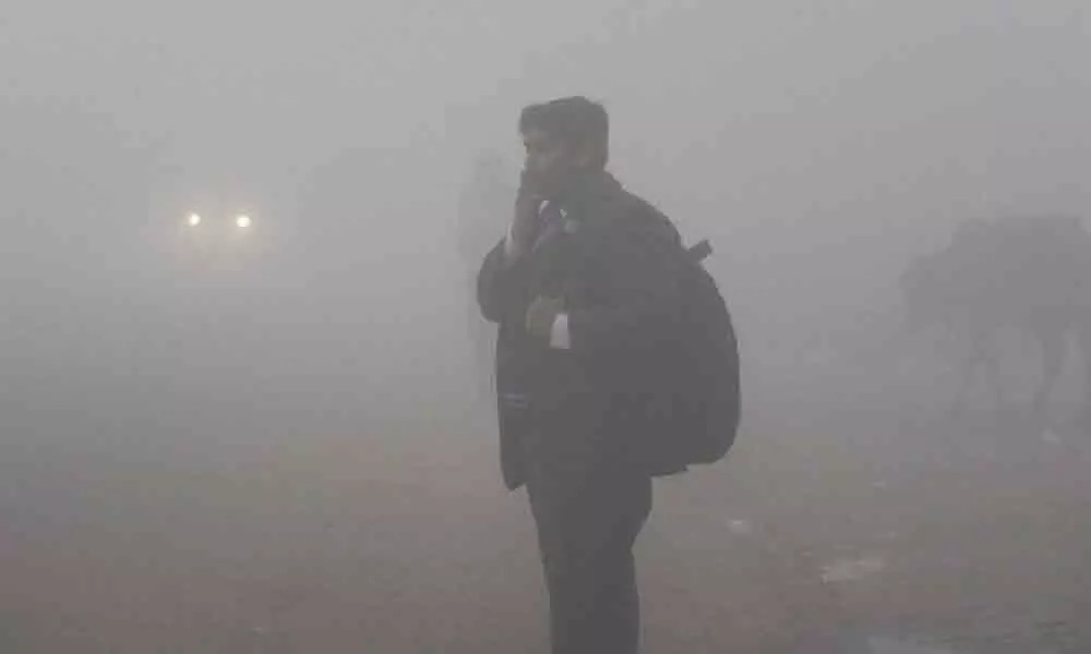 Fog and frost affect normal life in J&K