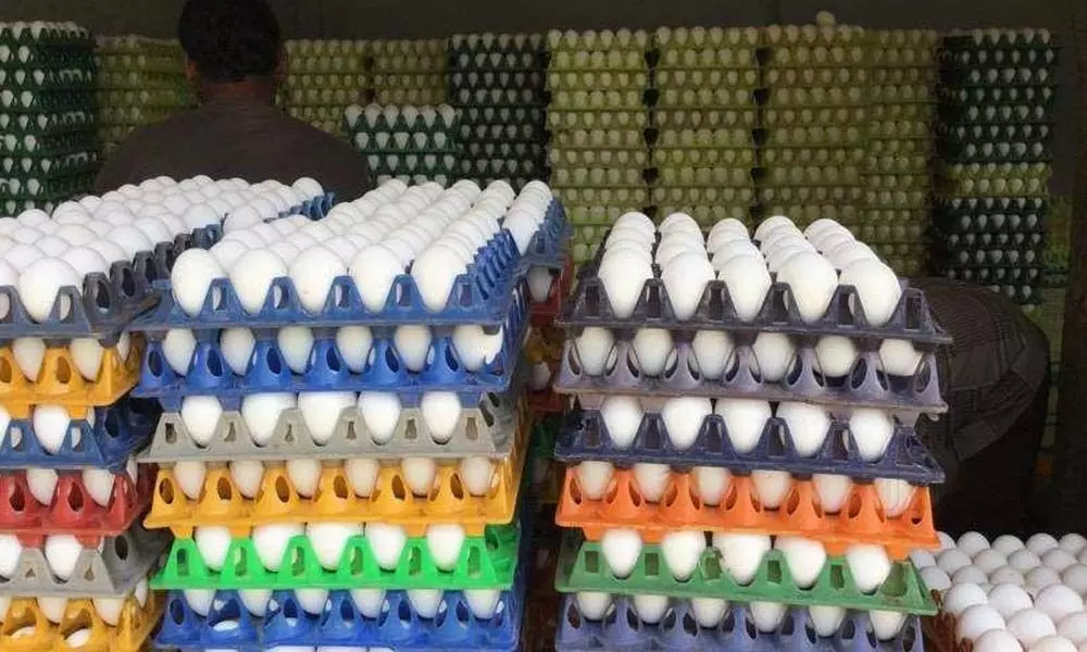 Eggs prices nosedive over bird flu scare