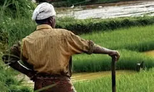 Market, State or collective action?